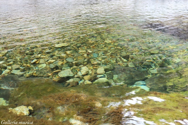 f0351853_01033070.jpg