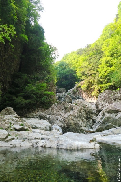 f0351853_01034374.jpg