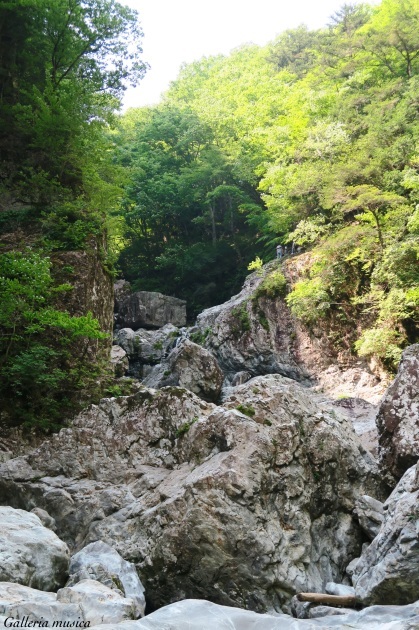 f0351853_17275483.jpg