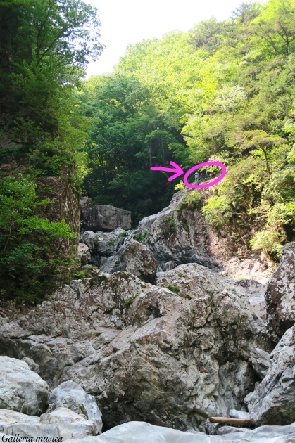 f0351853_17280948.jpg