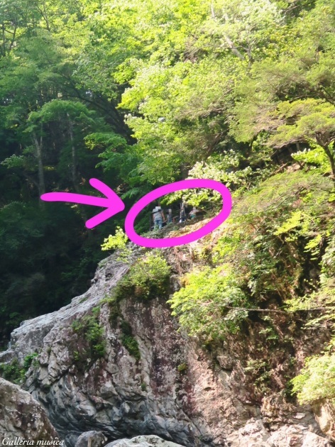 f0351853_17282238.jpg