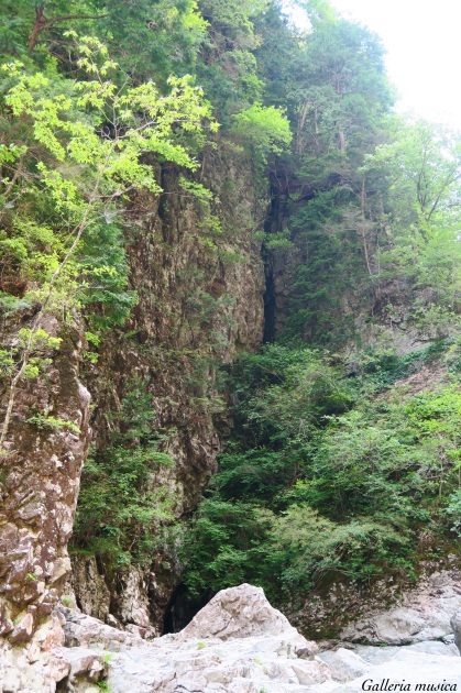 f0351853_17283749.jpg