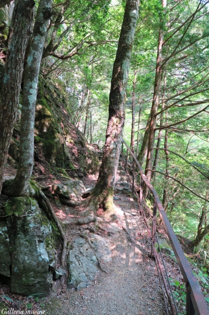f0351853_17292577.jpg