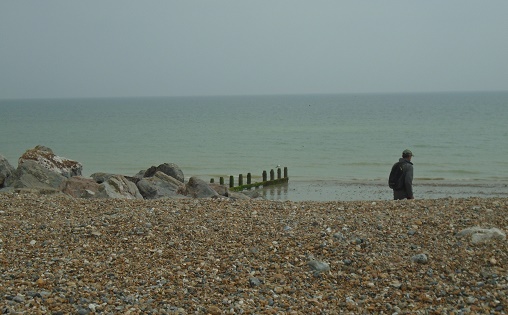 e0010856_0235832.jpg