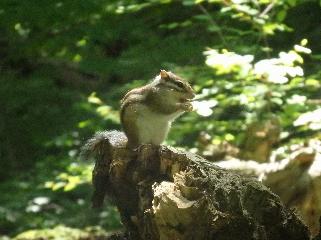 a0193457_16325950.jpg