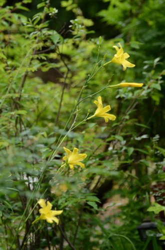 c0186463_22282870.jpg
