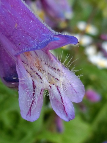 e0045768_2224351.jpg