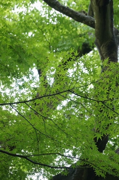 f0314272_21311747.jpg