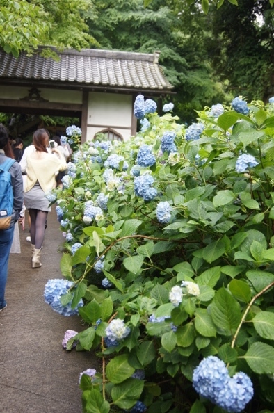 f0314272_22002403.jpg