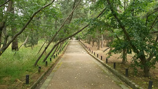 e0020682_1856196.jpg