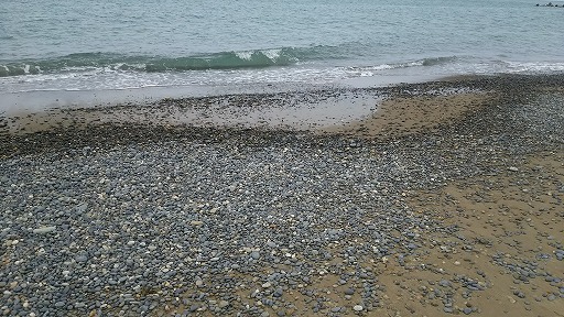 e0020682_1858345.jpg