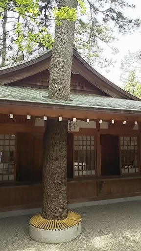 e0020682_1971611.jpg