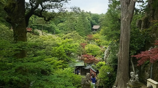 e0020682_20135166.jpg
