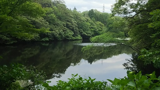 e0020682_20241547.jpg