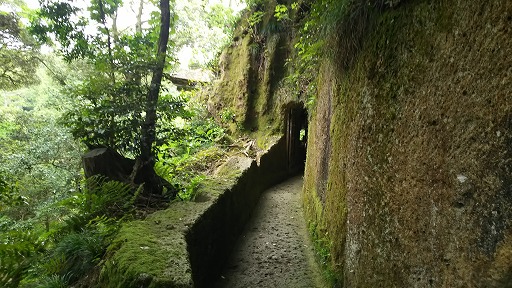 e0020682_20245718.jpg