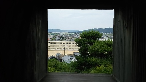 e0020682_20491130.jpg