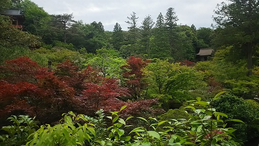 e0020682_2053685.jpg
