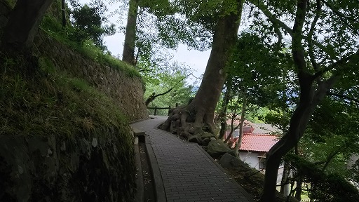 e0020682_20545018.jpg