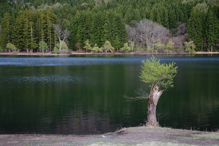 e0165983_883085.jpg