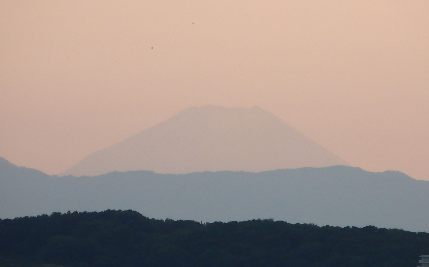 b0197486_973496.jpg