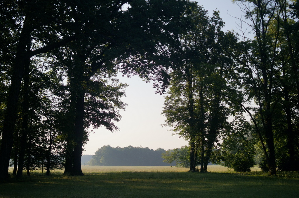 c0180686_07371474.jpg