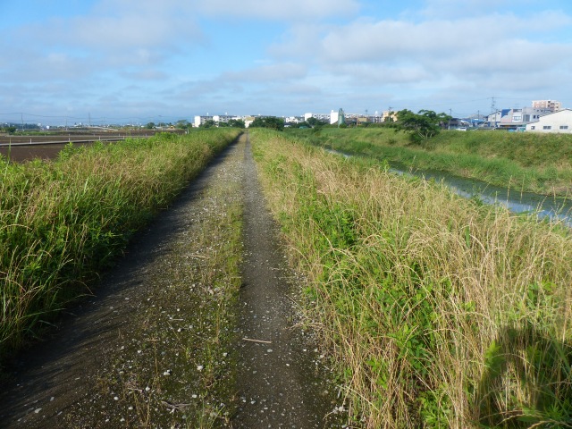 f0357487_2048495.jpg