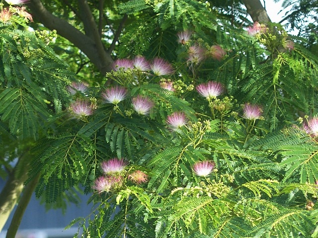 f0357487_20503521.jpg