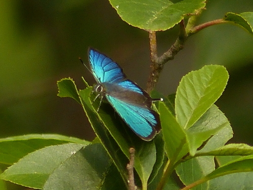 d0353091_19365163.jpg