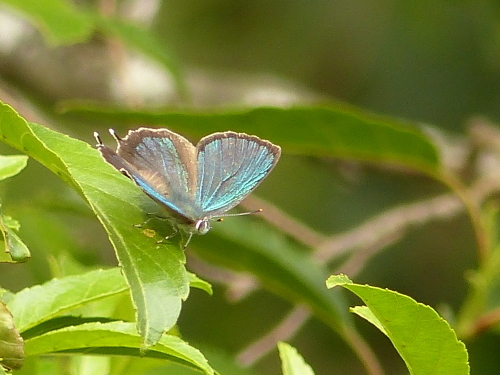 d0353091_19382012.jpg