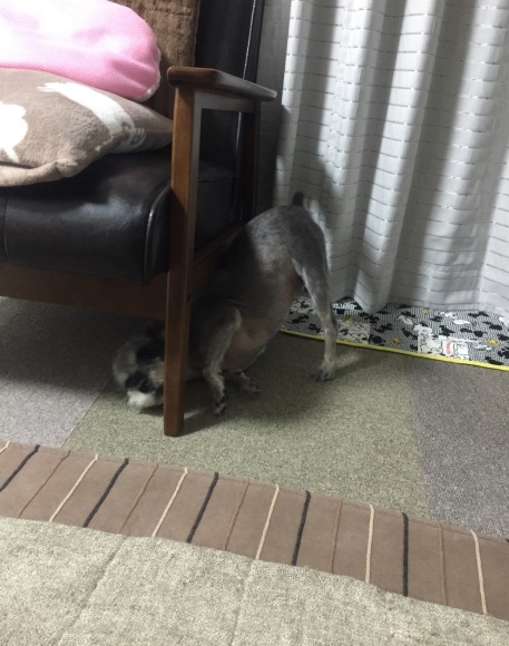 b0188998_22544369.jpeg
