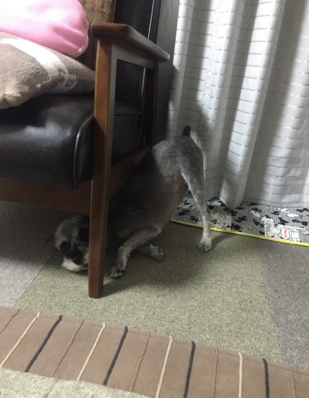 b0188998_22545559.jpeg