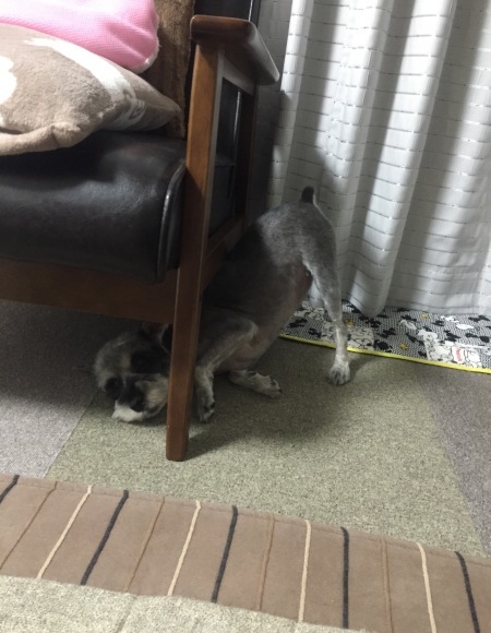 b0188998_22550999.jpeg