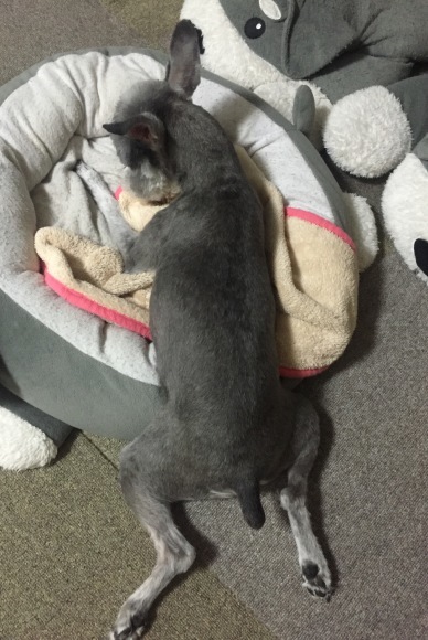 b0188998_23191658.jpeg