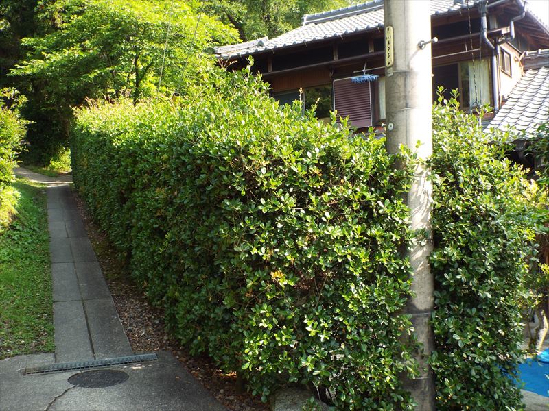c0108198_16501214.jpg