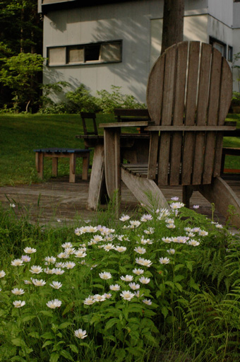 a0061599_7534792.jpg