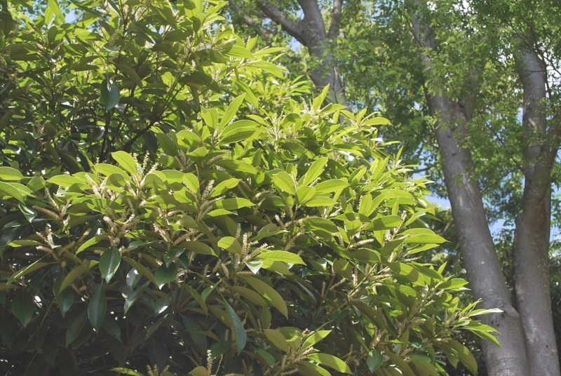 e0025300_16133072.jpg
