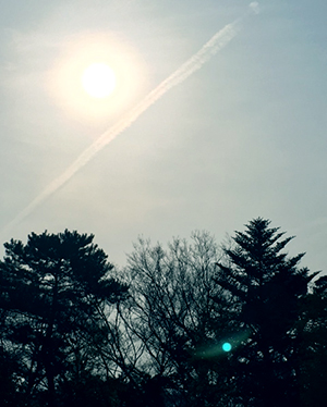 a0201204_1911240.jpg