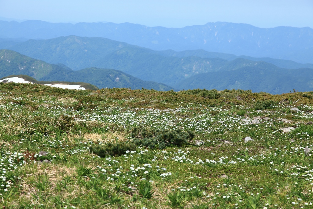 b0050305_20145245.jpg