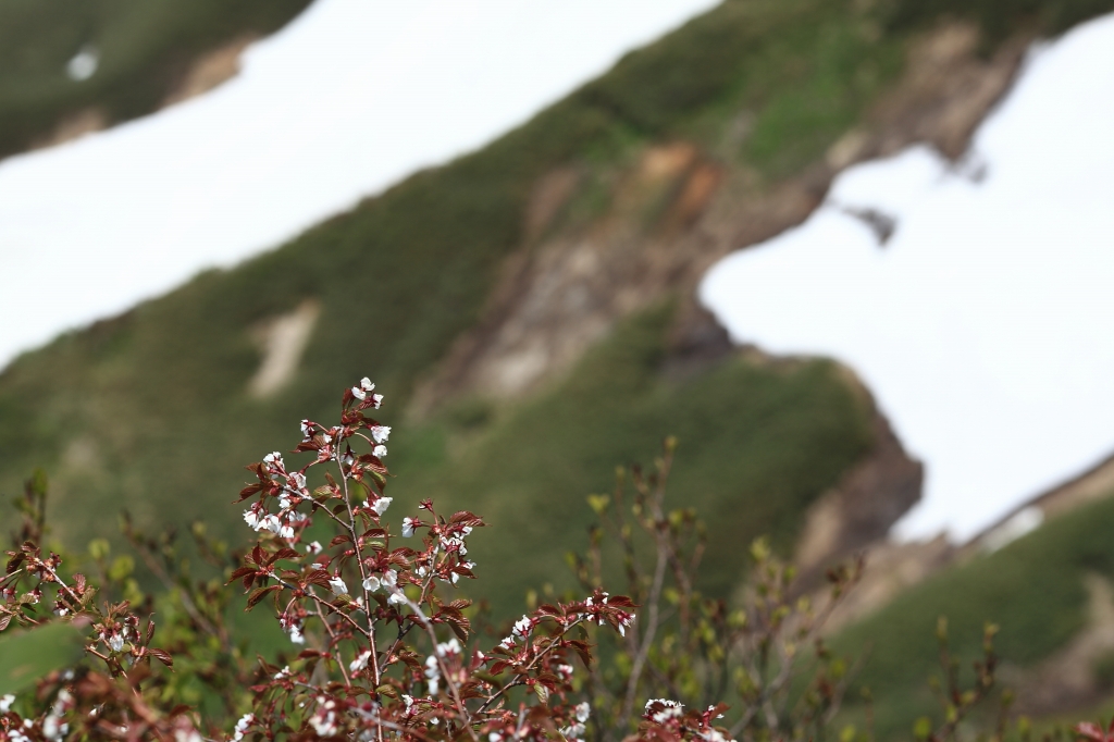 b0050305_20155152.jpg