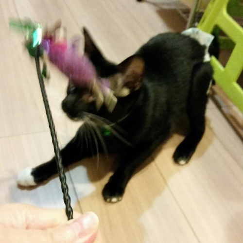 e0144012_12573750.jpeg