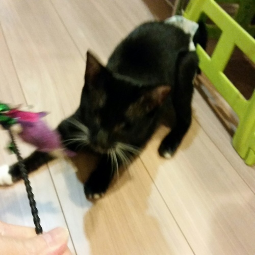 e0144012_12580399.jpeg