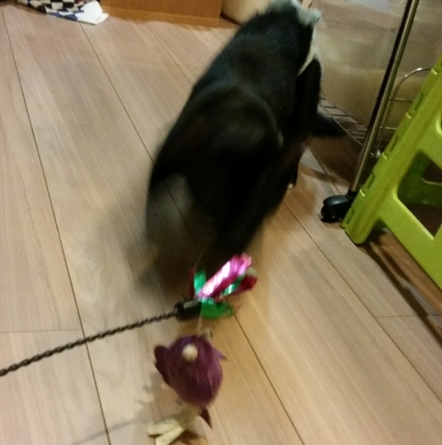 e0144012_13023512.jpeg