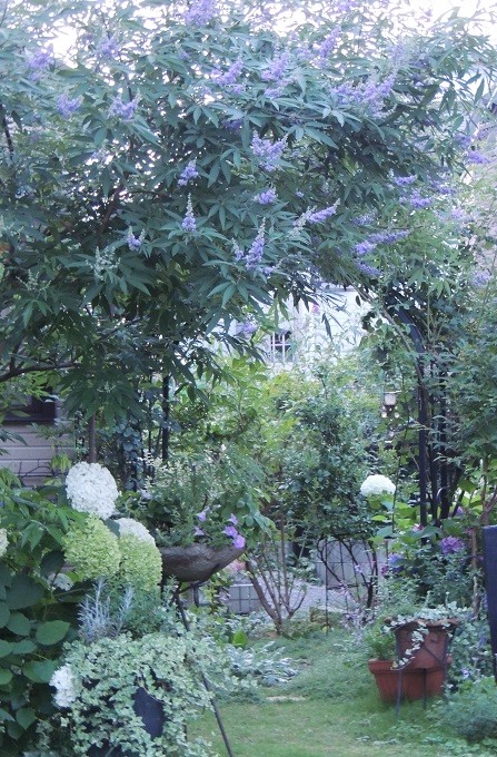 f0150620_23174977.jpg
