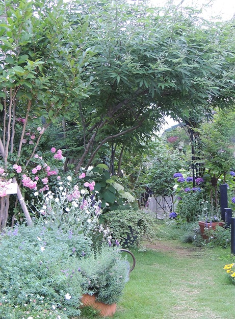 f0150620_2353534.jpg