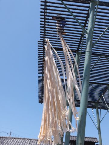 a0166324_1056446.jpg