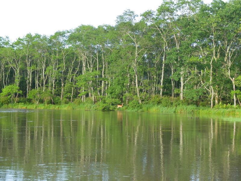 f0362524_17332836.jpg