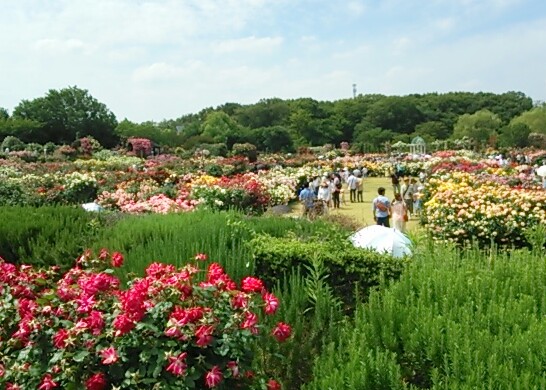 b0082125_13155952.jpg