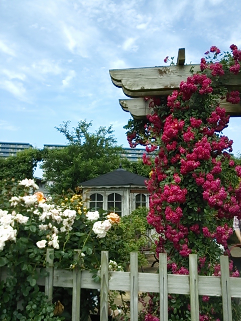 b0082125_13172283.jpg