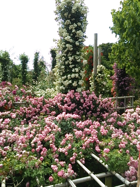 b0082125_13174823.jpg