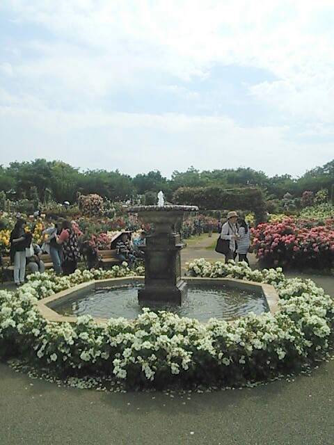b0082125_1318126.jpg